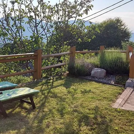 In Kranjska Krain 42002