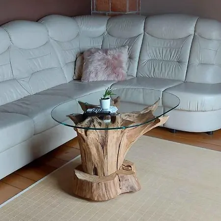 Prázdninový dům In Kranjska Krain 42002