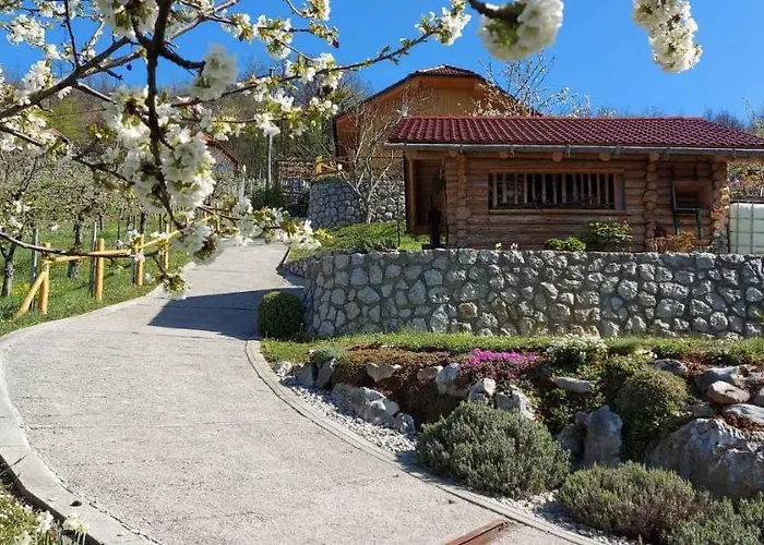 In Kranjska Krain 42002 Casa vacanze